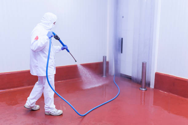 Best Driveway Pressure Washing  in Indian Lake, TX